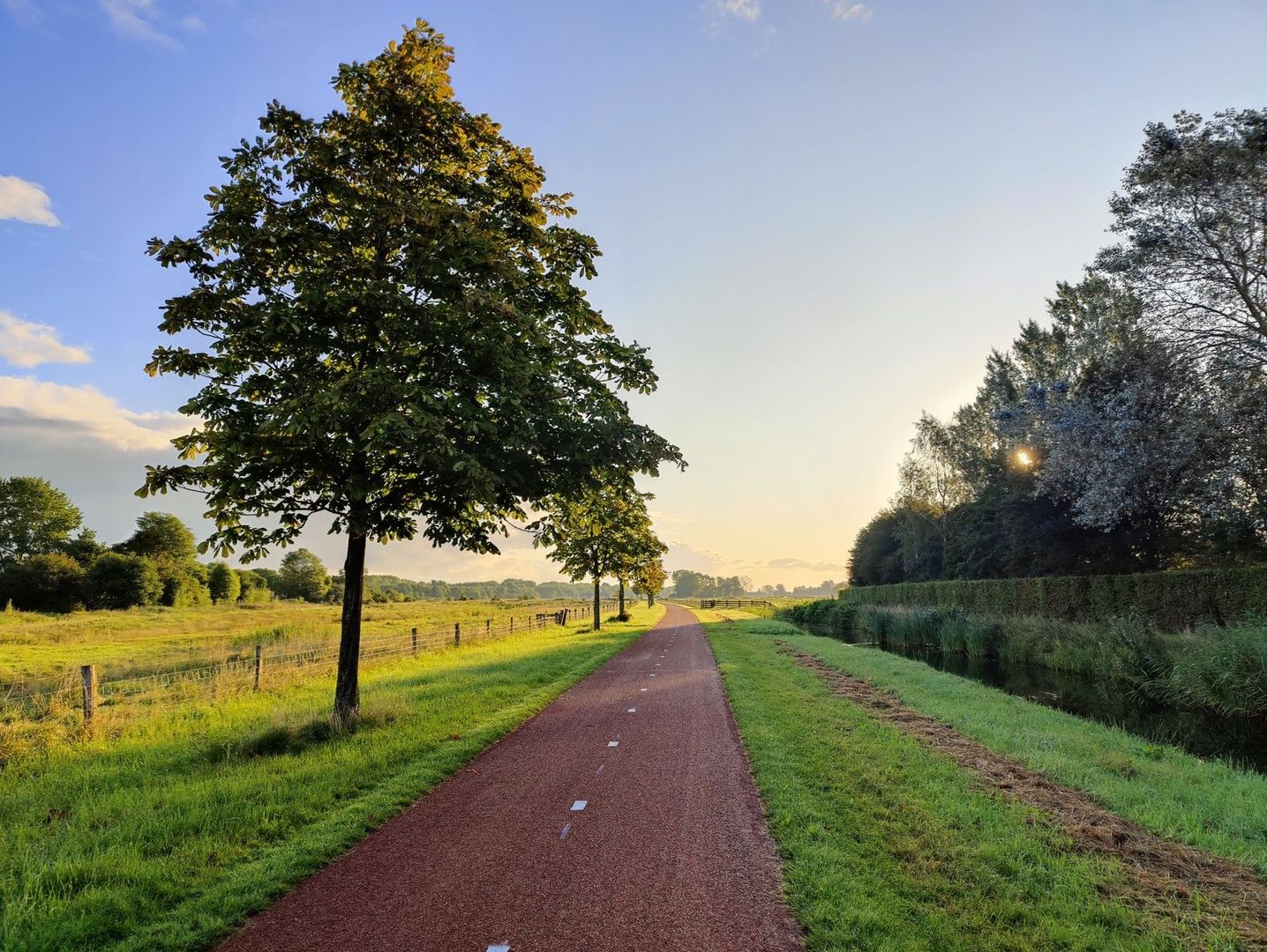 De herontdekking van de coulisse: hoe lineaire beplanting het agrarisch landschap herstelt