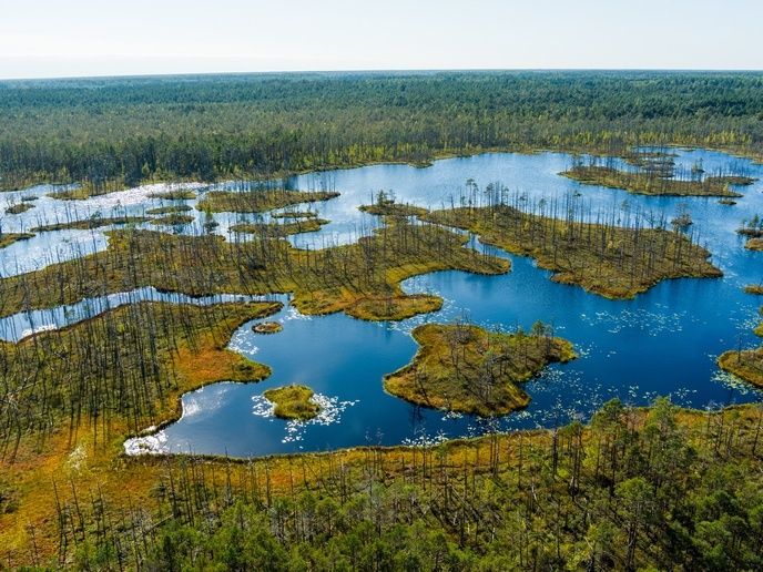 Luchtfoto van waterrijk veenlandschap met meren en eilandjes