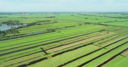 Luchtfoto van groene veenweidevelden met sloten en een meer